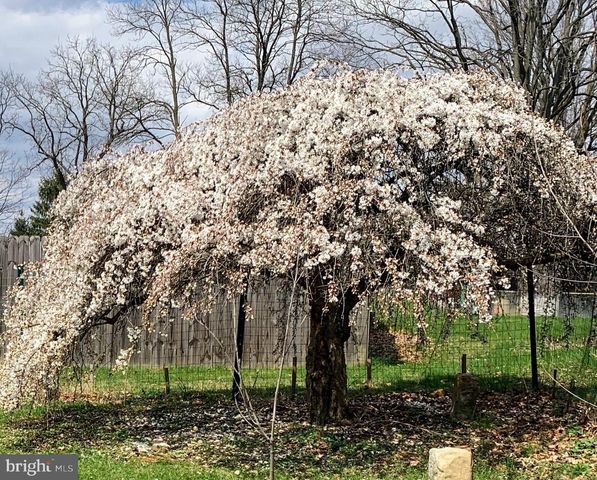 507 FIRST AVE, Lemont, PA 16851