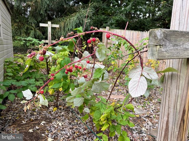 507 FIRST AVE, Lemont, PA 16851