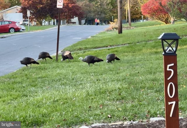 507 FIRST AVE, Lemont, PA 16851