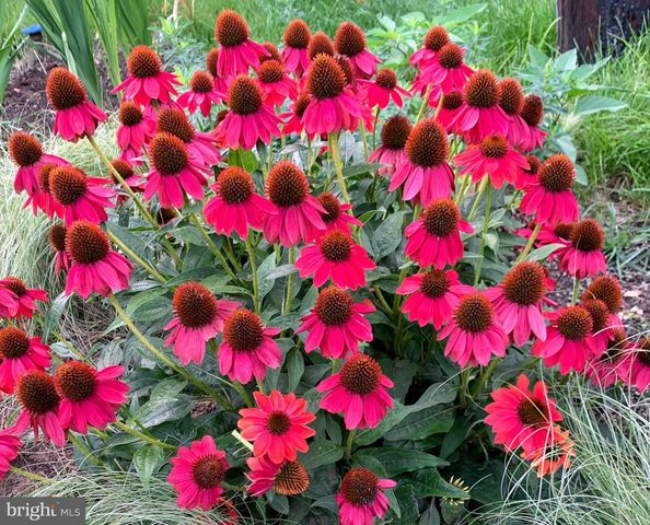 507 FIRST AVE, Lemont, PA 16851