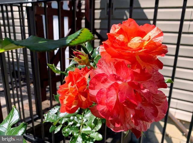 507 FIRST AVE, Lemont, PA 16851