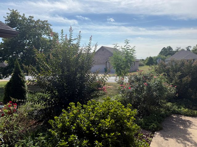 2404 Fruit Station Drive, Mountain Grove, MO 65711