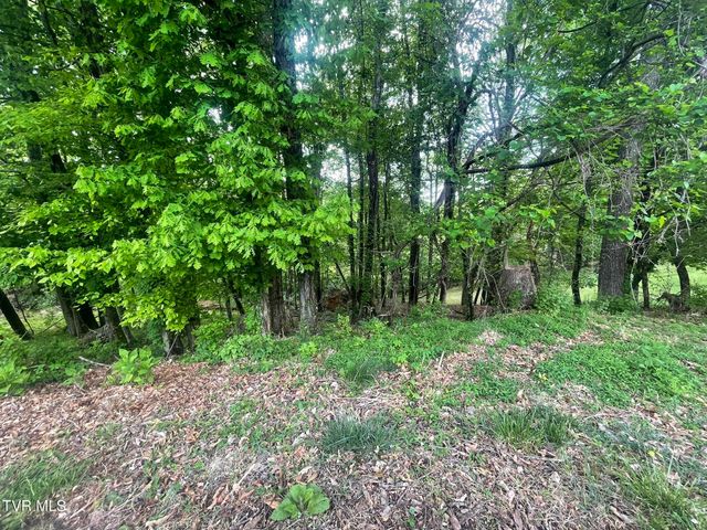 Tbd Hillcrest Drive, Gate City, VA 24251