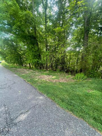 Tbd Hillcrest Drive, Gate City, VA 24251