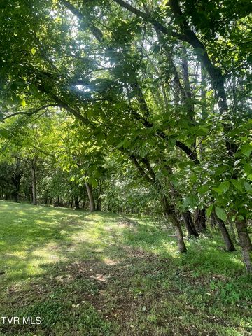 Tbd Hillcrest Drive, Gate City, VA 24251