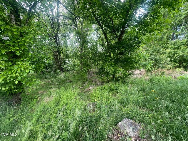 Tbd Hillcrest Drive, Gate City, VA 24251
