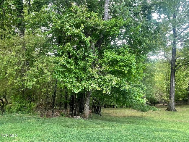 Tbd Hillcrest Drive, Gate City, VA 24251