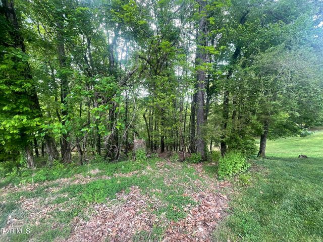Tbd Hillcrest Drive, Gate City, VA 24251