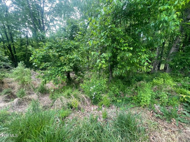 Tbd Hillcrest Drive, Gate City, VA 24251