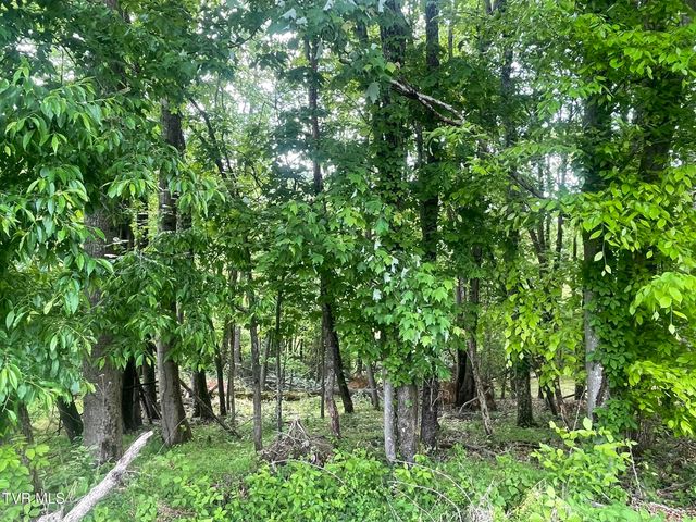 Tbd Hillcrest Drive, Gate City, VA 24251