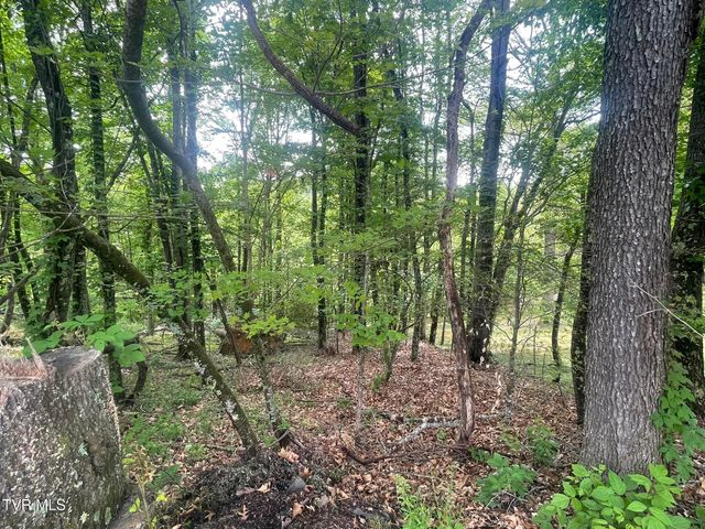Tbd Hillcrest Drive, Gate City, VA 24251