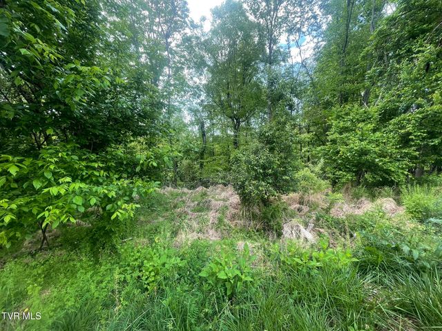 Tbd Hillcrest Drive, Gate City, VA 24251