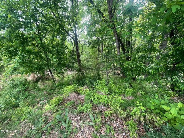 Tbd Hillcrest Drive, Gate City, VA 24251