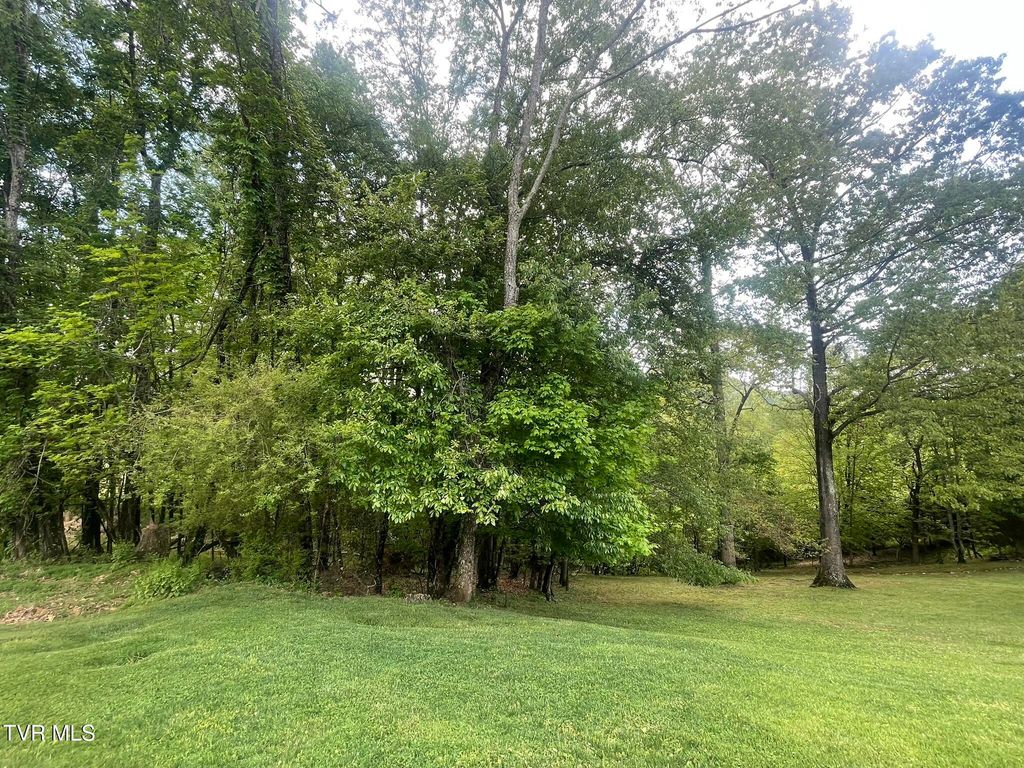 Tbd Hillcrest Drive, Gate City, VA 24251