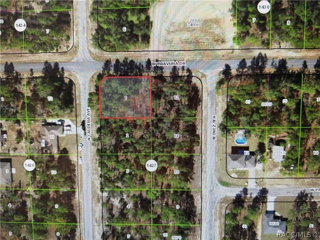 10599 N Caldera Avenue, Dunnellon, FL 34433