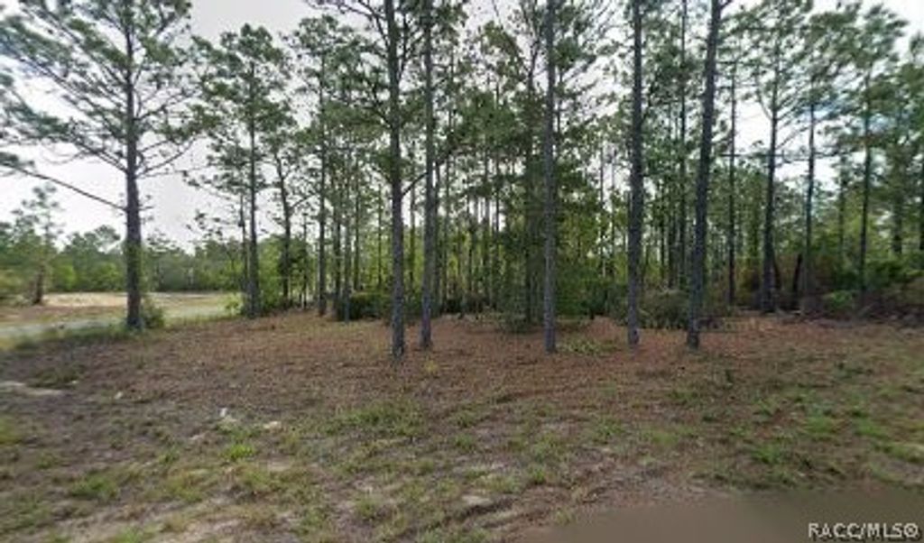 10599 N Caldera Avenue, Dunnellon, FL 34433