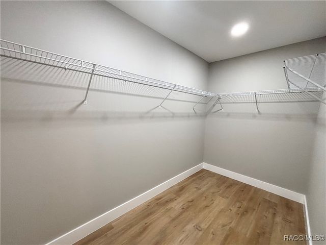 8792 N Sandree Drive, Citrus Springs, FL 34434