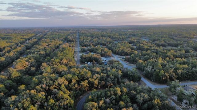 8792 N Sandree Drive, Citrus Springs, FL 34434