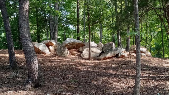 0 Leeward DR, Moneta, VA 24121