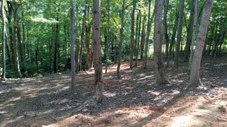 0 Leeward DR, Moneta, VA 24121