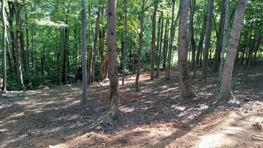 0 Leeward DR, Moneta, VA 24121