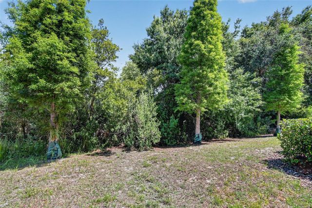 6936 BREEZY PALM DRIVE, Riverview, FL 33578