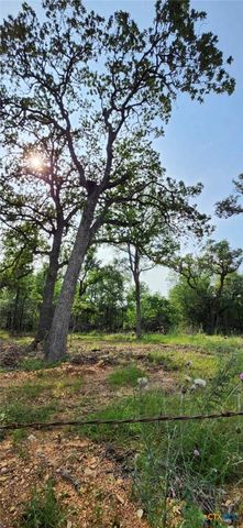 TBD Rosanky Rd, Tract 2b, Holland, TX 76534