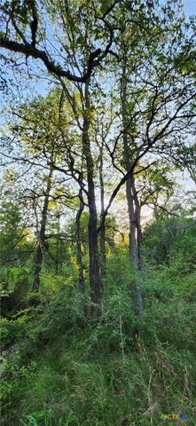 TBD Rosanky Rd, Tract 2b, Holland, TX 76534