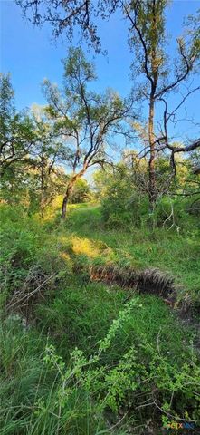 TBD Rosanky Rd, Tract 2b, Holland, TX 76534
