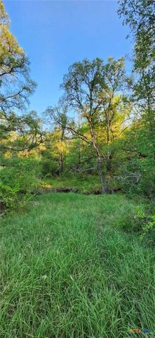 TBD Rosanky Rd, Tract 2b, Holland, TX 76534