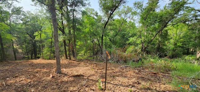 TBD Rosanky Rd, Tract 2b, Holland, TX 76534