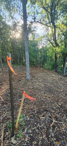 TBD Rosanky Rd, Tract 2b, Holland, TX 76534