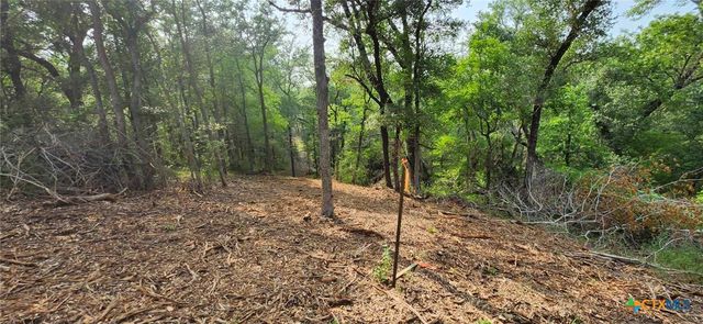 TBD Rosanky Rd, Tract 2b, Holland, TX 76534