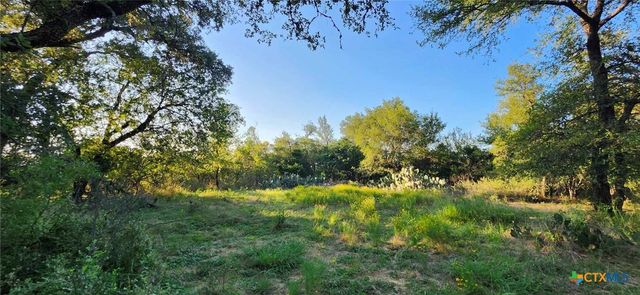 TBD Rosanky Rd, Tract 2b, Holland, TX 76534