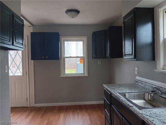 12002 Lena Avenue, Cleveland, OH 44135