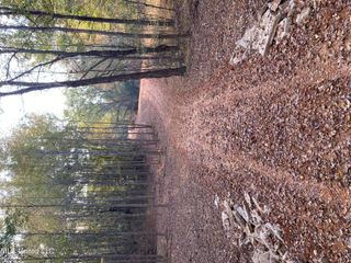 0 Branan Road, Coldwater, MS 38618