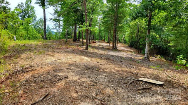 00 Wambli Pass 20 & 21, Lake Lure, NC 28746