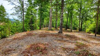 00 Wambli Pass 20 & 21, Lake Lure, NC 28746
