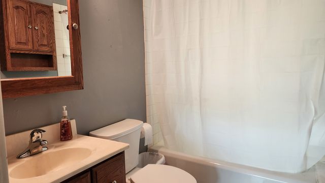 228 Church Street 1, Wauconda, IL 60084