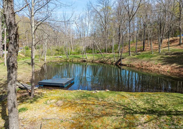 611 N Clove Road, Millbrook, NY 12545