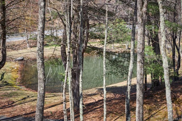 611 N Clove Road, Millbrook, NY 12545