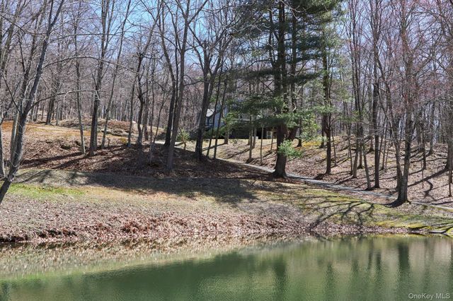 611 N Clove Road, Millbrook, NY 12545