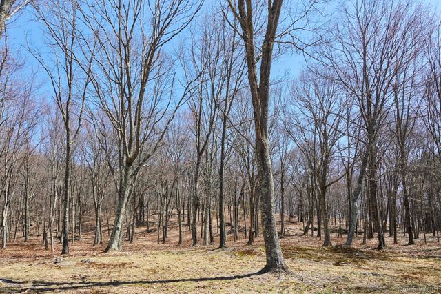 611 N Clove Road, Millbrook, NY 12545