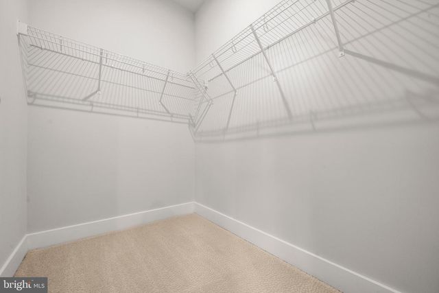 7505 MAGARITY RD, Falls Church, VA 22043