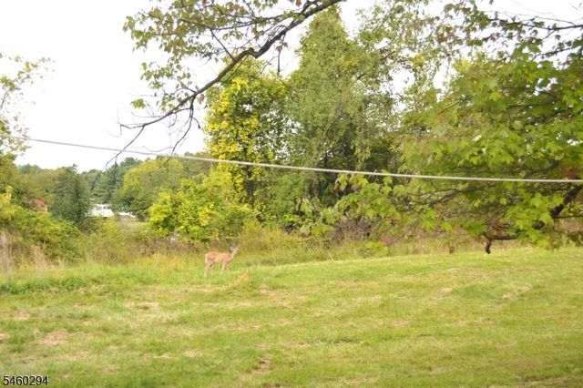 42 Fortysecond St, Readington Twp., NJ 08889