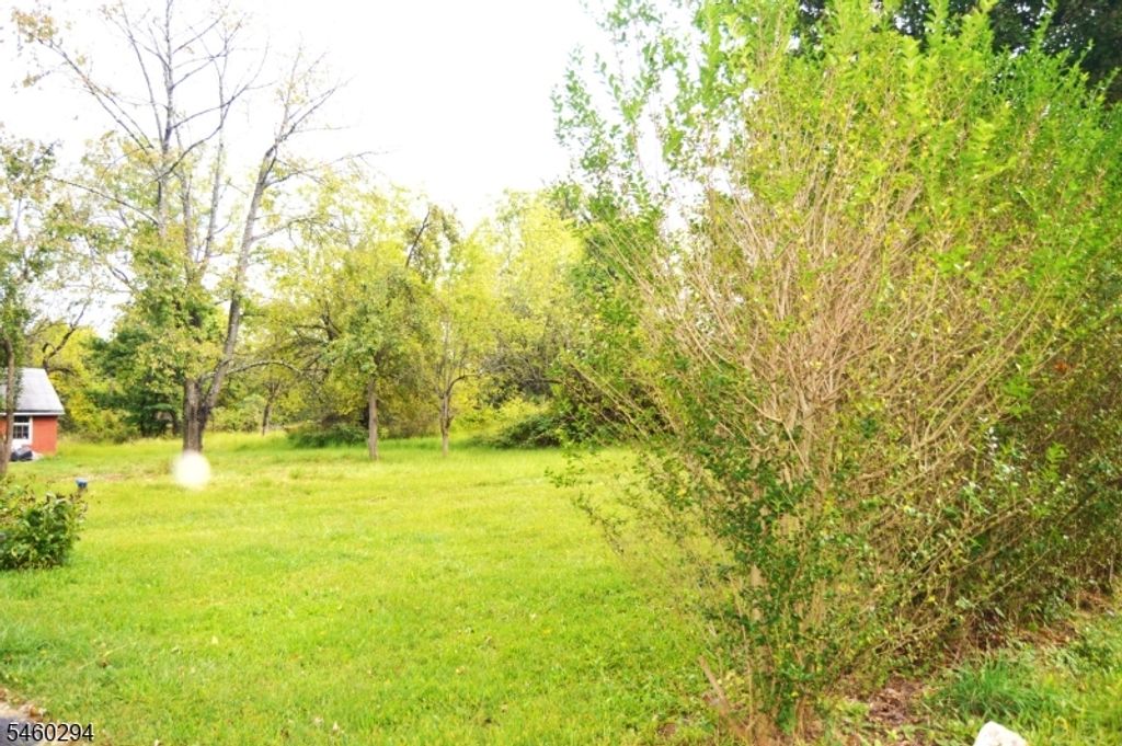 42 Fortysecond St, Readington Twp., NJ 08889 — photo 4