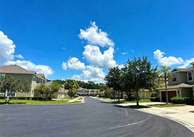 8505 BROKEN WILLOW COURT, Tampa, FL 33647