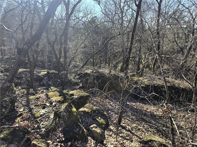 14117 Hogeye Road, Prairie Grove, AR 72753