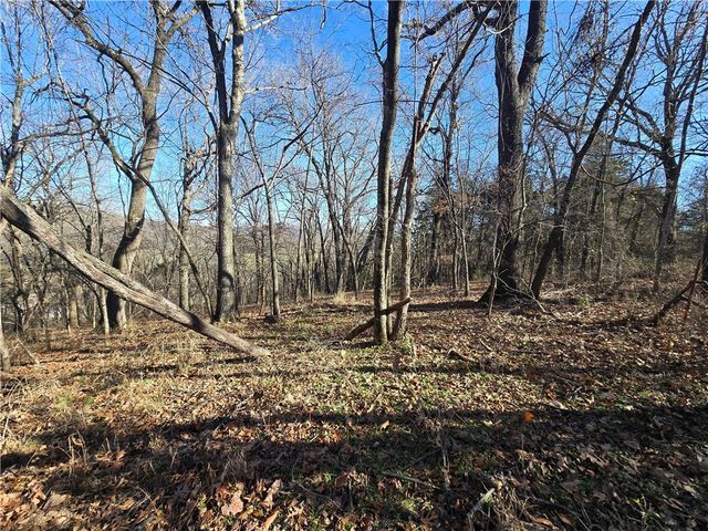 14117 Hogeye Road, Prairie Grove, AR 72753