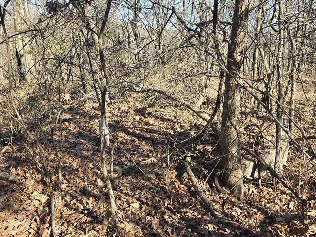 14117 Hogeye Road, Prairie Grove, AR 72753